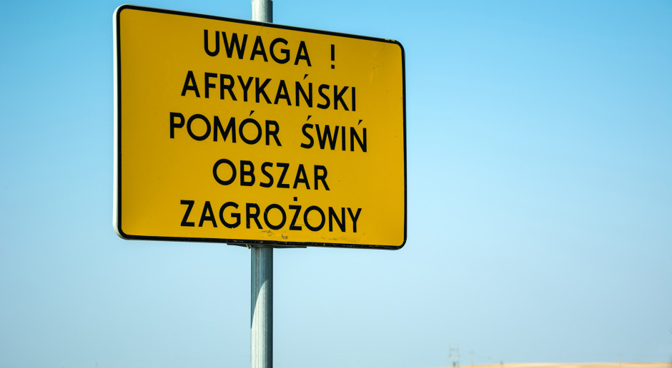 Fot. Shutterstock Ognisko ASF w gospodarstwie rolnym w Kruklinie