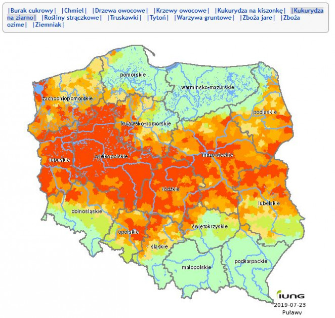 Potencjalny zasięg suszy w uprawie kukurydzy na ziarno, źródło: IUNG PIB