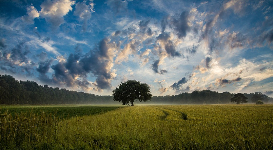 fot. Pixabay Dokąd przenieść się przed CPK?