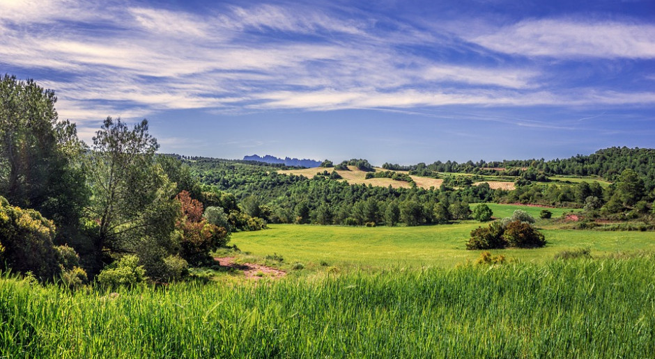 fot. Pixabay Kiedy rolnicy sprzedają ziemię?