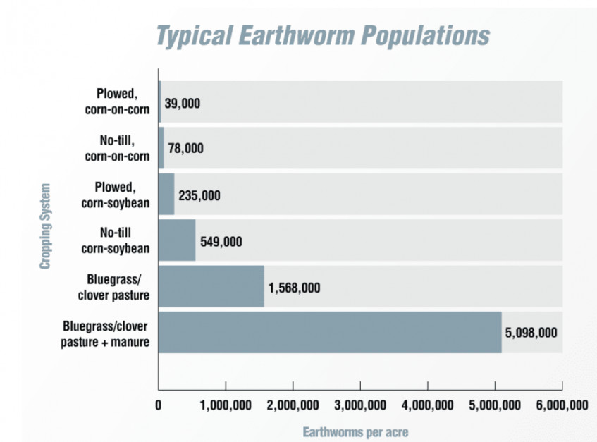 Wielkość populacji dżdżownic w zależności od zmianowania roślin i sposobu uprawy. Źródło: www.no-tillfarmer.com