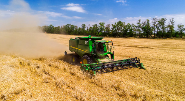 Rosja: Zebrano ponad 50 mln ton zbóż i bobowatych