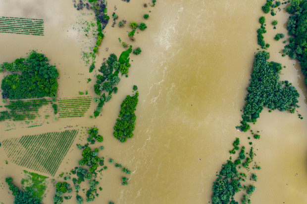 Niemieckie Stowarzyszenie Rolników: raport ze zbiorów i ocena skutków powodzi