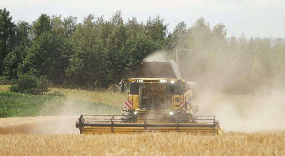 Zbiory zbóż się jeszcze nie zakończyły, fot. W. Denisiuk Żniwa jeszcze się nie skończyły, lokalnie utrudniają je deszcze