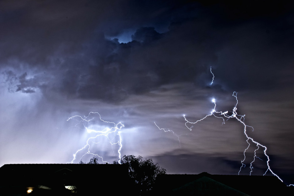fot. Shutterstock
