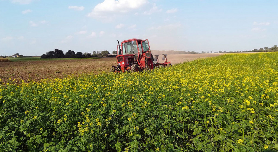 Głównym motywatorem do wysiewu międzyplonów są oczywiście EFA, czyli obszary proekologiczne (z ang. Ecological Focus Area). Wymagania prawne, które ich dotyczą, są istotne podczas składania wniosków o dopłaty w ramach PROW Międzyplony – w trosce o środowisko i plony