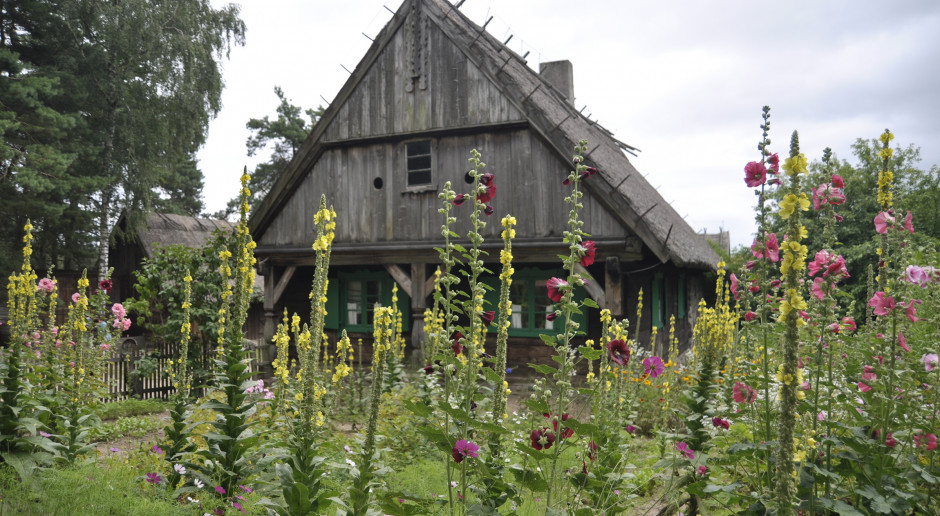 Skansen w Olsztynku, fot. A. Królak Warmińsko-Mazurskie: Święto ziół w skansenie w Olsztynku
