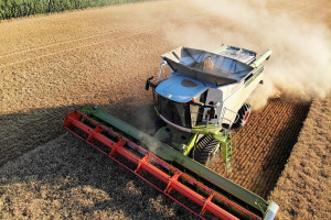 Rosja: Do 15 sierpnia zebrano 67,8 mln ton zbóż i bobowatych