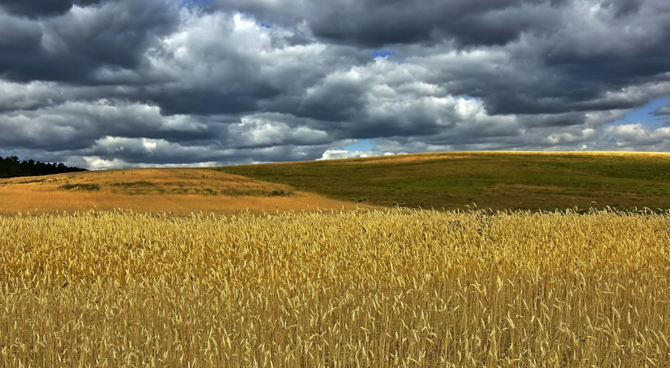 Fot.pixabay.com Rosja: Prognoza zbiorów zbóż skorygowana w dół