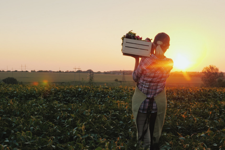 W tym roku zauważalnie wzrosła produkcja warzyw gruntowych oraz owoców. fot. Shutterstock