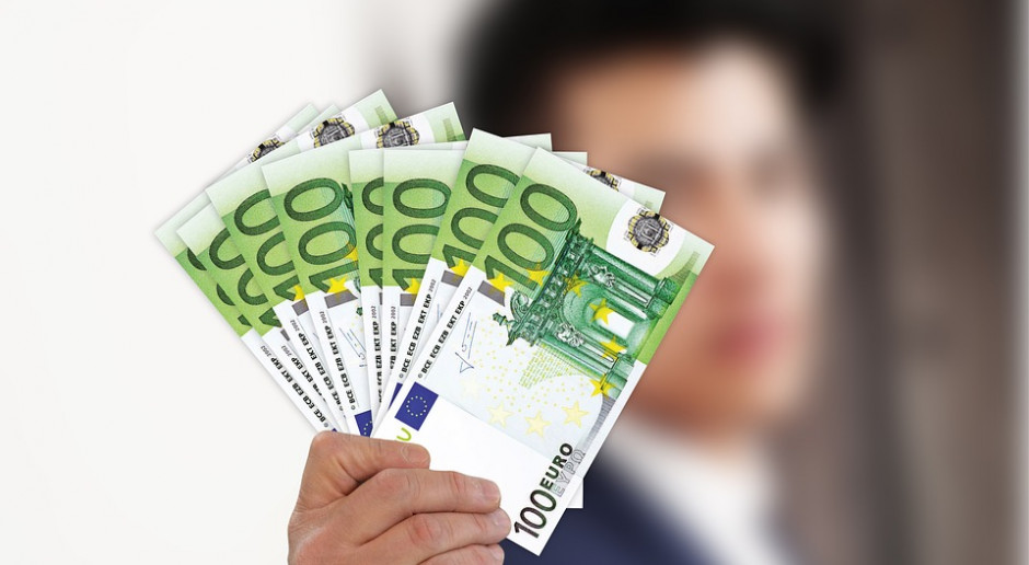 fot. Pixabay Przyszłe płatności bezpośrednie będą bardziej zielone
