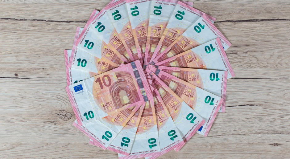 fot. Pixabay Jakie rodzaje płatności bezpośrednich będą po 2020 roku?
