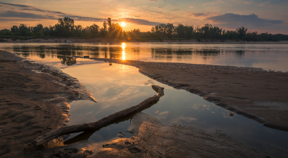 Fot. Shutterstock Ruszają prace związane m.in. z odtworzeniem szlaków wędrówek ryb w Wiśle