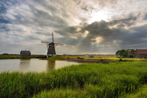 Holandia: Ma powstać nowa partia rolnicza