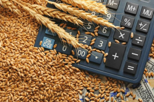 Aktualne ceny zbóż i rzepaku 