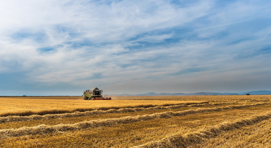 Fot.pixabay.com Rosja: Do 30 sierpnia zebrano 84,6 mln ton zbóż i bobowatych