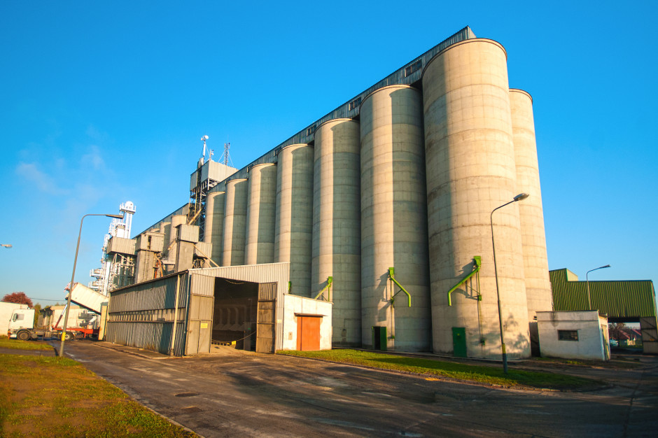 Jakie są ceny zbóż w Niemczech i na Ukrainie? Fot. Shutterstock