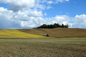 Szwecja: Podrożały grunty rolne 