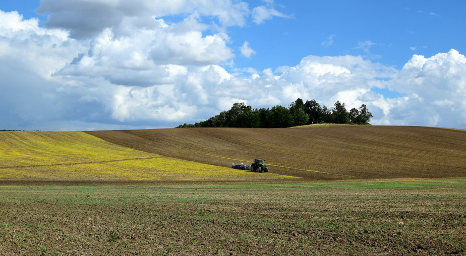 Fot.pixabay.com Szwecja: Podrożały grunty rolne
