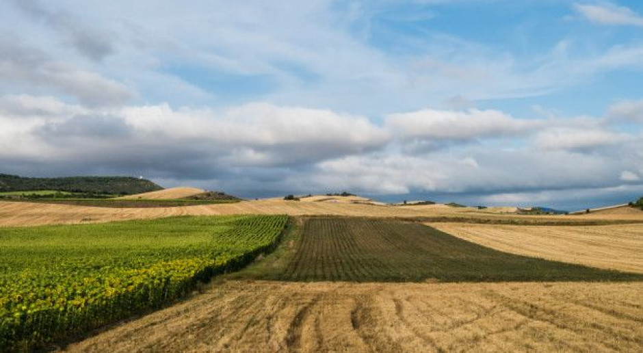 fot. Shutterstock KOWR ma 250 ha pod inwestycje
