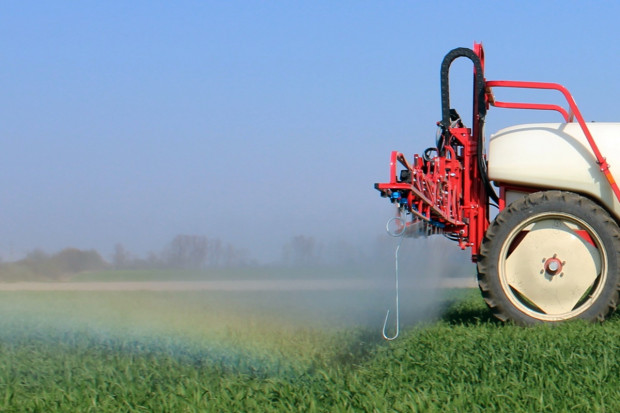 Bayer wprowadza nową technologię ochrony zbóż