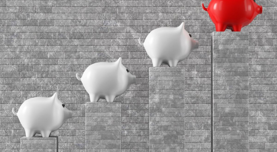 Fot. Shutterstock.com Ceny tuczników stabilne. Czy to cisza przed burzą?