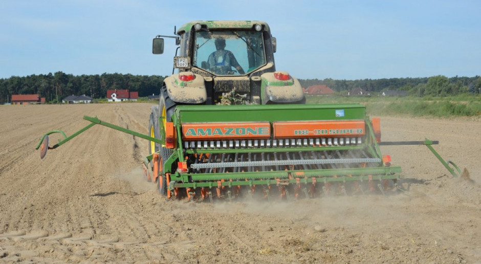 W warunkach niskiej wilgotności gleby, przede wszystkim warto zadbać o dobrą konsolidację gleby przed siewnikiem, fot.K.Szulc Trwają siewy jęczmienia ozimego. Jakich błędów nie popełnić w czasie suszy?
