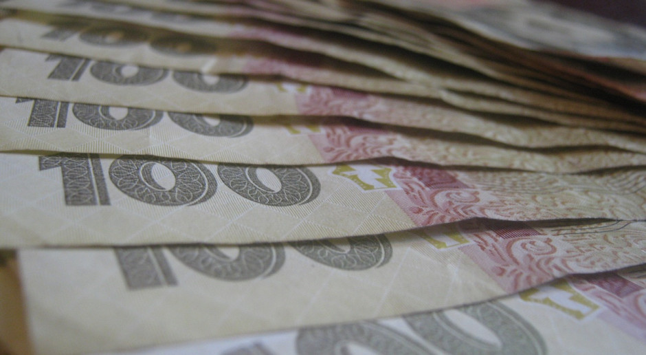 Fot. pixabay.com Ukraina: Pomoc budżetowa dla rolników