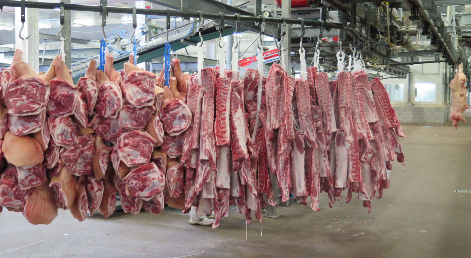 fot. I.Dyba Kraje trzecie bezpodstawnie wstrzymują import wieprzowiny z unijnych regionów wolnych od ASF