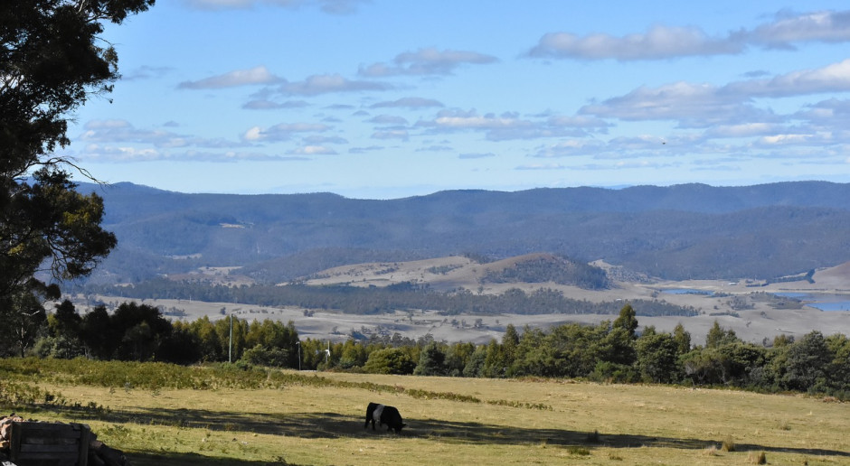 Fot.pixabay.com Australijskie prognozy produkcji roślinnej