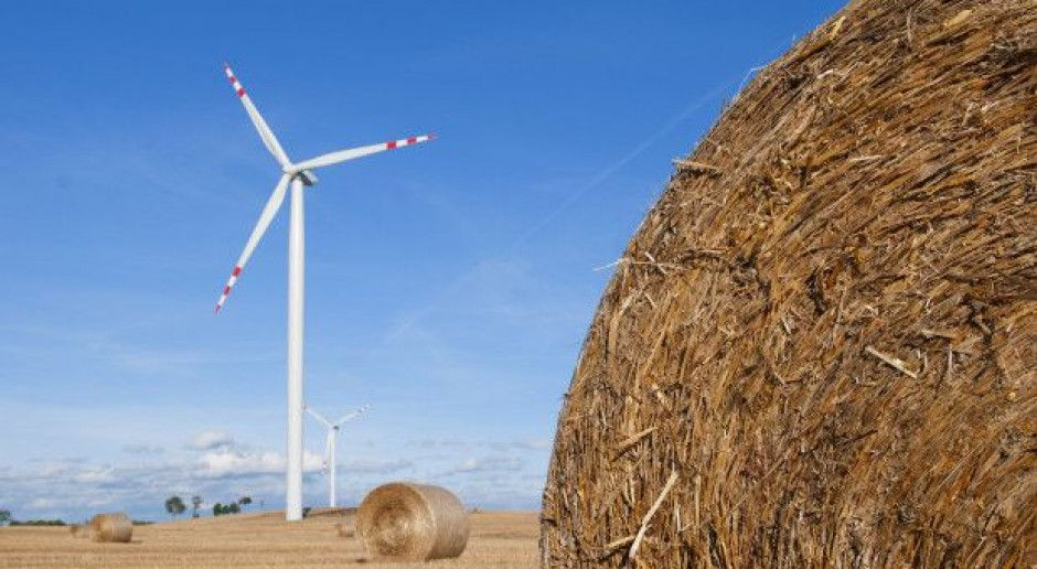 fot. Shutterstock PSL-KP: do 2030 r. udział energii odnawialnej ma wynosić 50 proc.