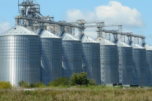 Giełdy krajowe: Trwa spadek cen zbóż