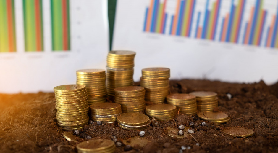 fot. Shutterstock ARiMR o średniej wielkości gospodarstwa zgłoszonego do dopłat w 2019 roku