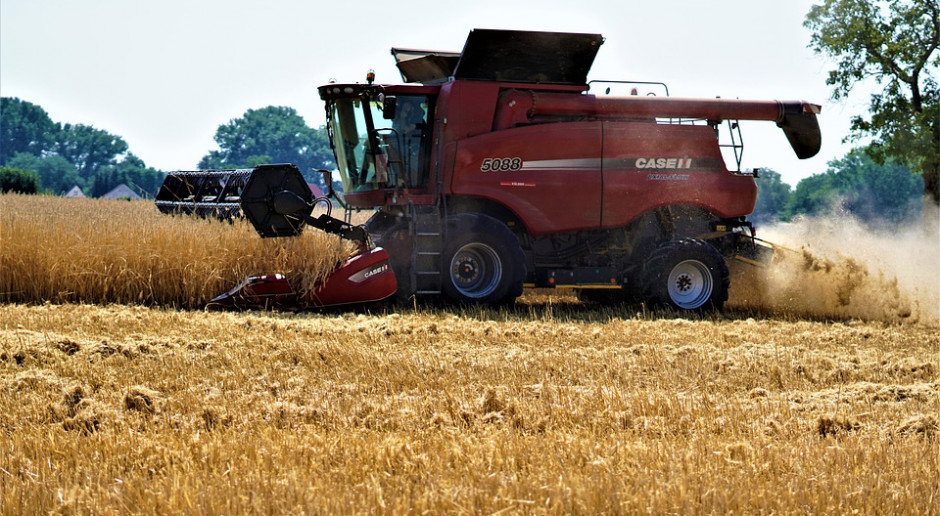 Fot.pixabay.com Rosja: Zebrano ponad 107 mln ton zbóż i bobowatych