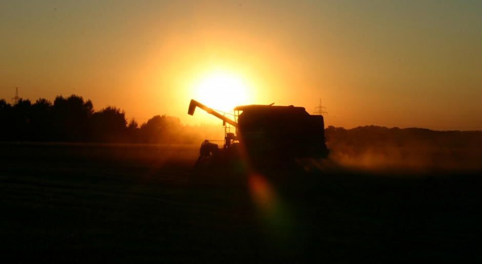 Fot.pixabay.com IGC: Prognoza światowej produkcji zbóż ogółem w sezonie 2019/2020, bez zmian