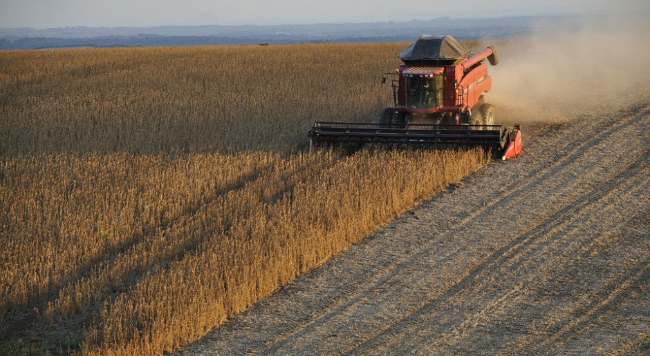 IGC: Prognoza światowej produkcji soi w sezonie 2019/2020 znów niższa