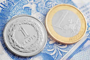 Dziś poznamy stawki dopłat bezpośrednich, euro droższe niż w ubiegłym roku