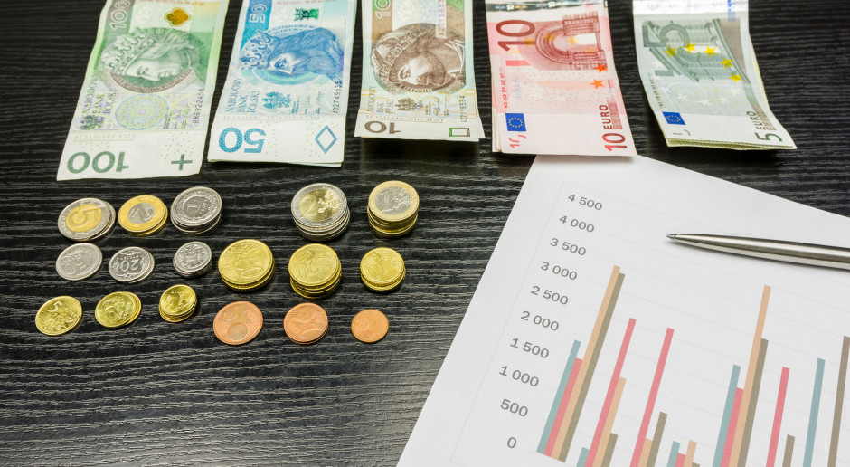 fot. Shutterstock Euro do dopłat po 4.3782 zł