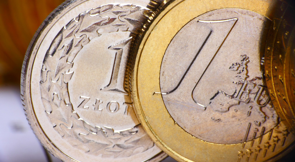 fot. Shutterstock Podano stawki dopłat bezpośrednich za 2019 rok