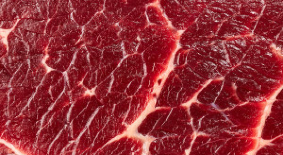 Fot. Shuttestock BSE: Korea Południowa znosi ograniczenia dla unijnych producentów wołowiny