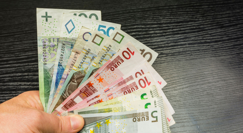 fot. Shutterstock Dopłaty bezpośrednie jakie być miały – i jakie są