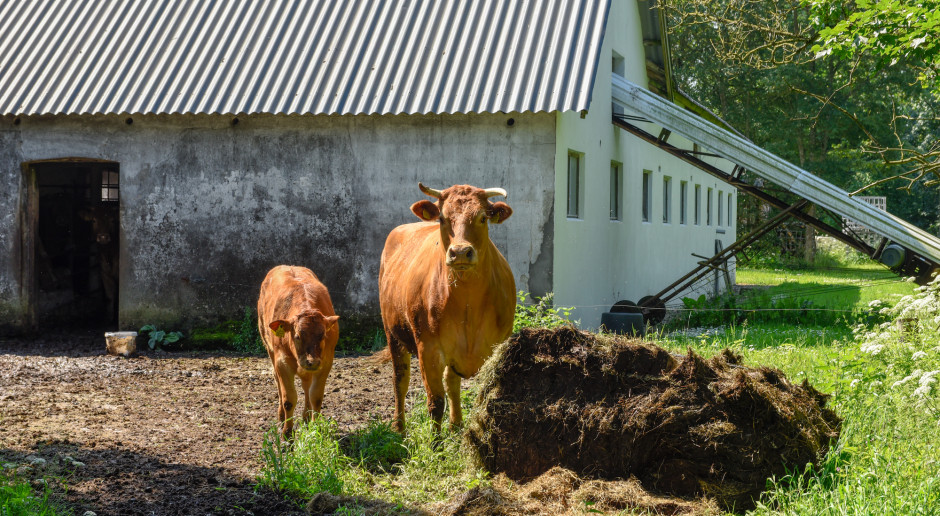 Fot. Shutterstock Dania: Coraz mniej pełnoetatowych rolników