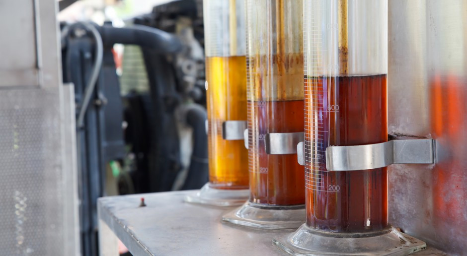 Fot. Shuttestock Rząd Trumpa obiecuje amerykańskim rolnikom ambitną politykę dotyczącą biopaliw