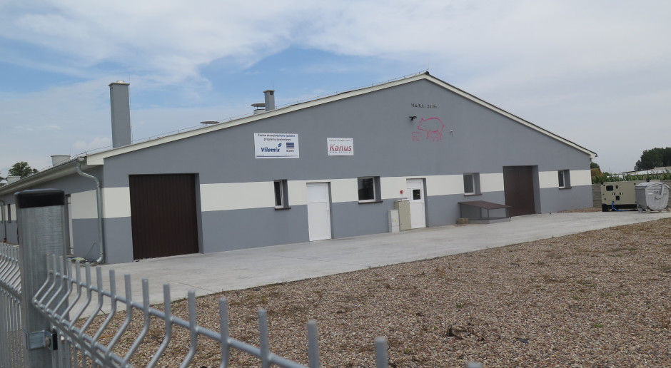 Fot.BW Tak wygląda produkcja warchlaków na dużą skalę