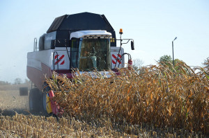 Dni kukurydzy FarmSaat w Osięcinach; Fot. Katarzyna Szulc