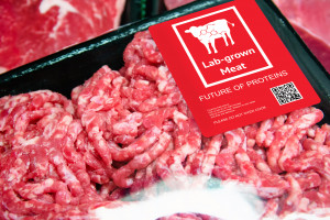 Mięso z laboratorium może być 25 razy gorsze dla klimatu niż zwykła wołowina