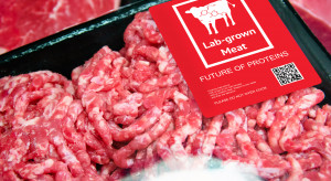 Mięso z laboratorium może być 25 razy gorsze dla klimatu niż zwykła wołowina