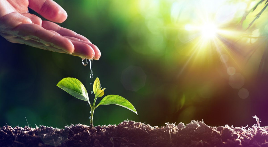fot. Shutterstock Sesja Naukowa IOR – PIB wydarzeniem „Międzynarodowego Roku Zdrowia Roślin 2020”