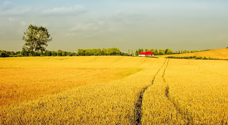 fot. Pixabay RPO przeciw wyłączeniu ziemi z dzierżaw