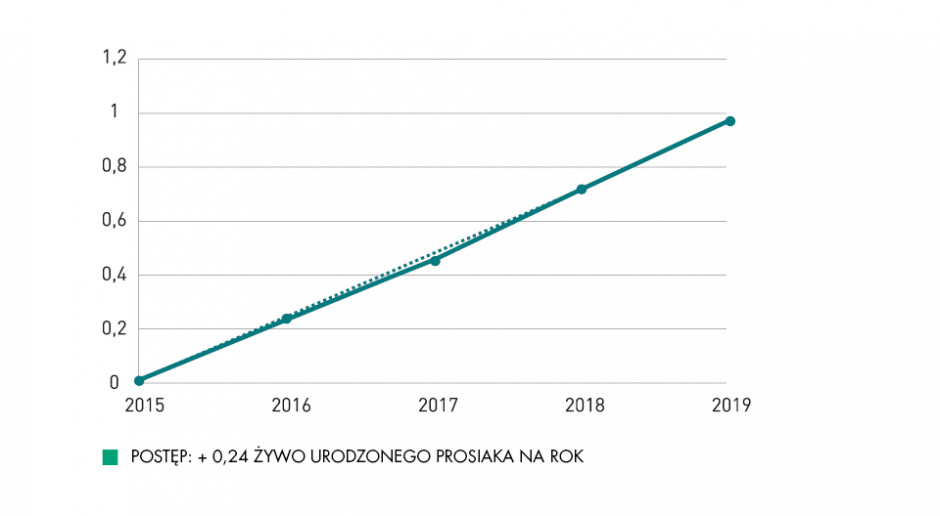 Postęp w zakresie plenności prosiąt genetyki Choice Genetics